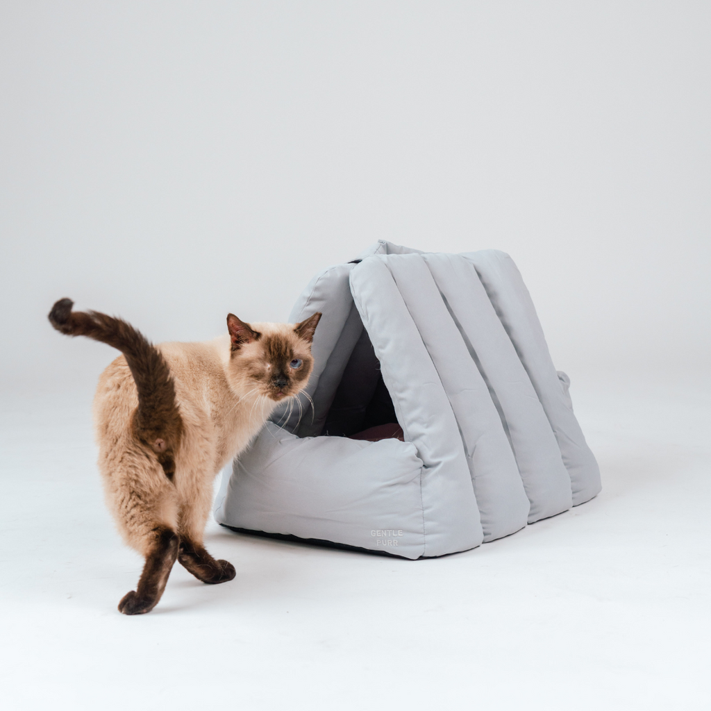 Puff Lounger | 2-in-1 Bed