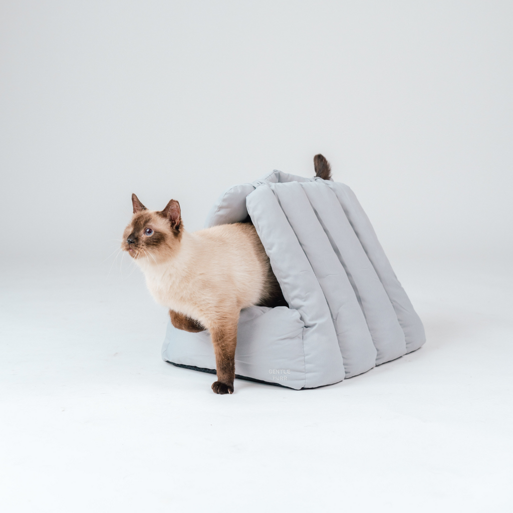 Puff Lounger | 2-in-1 Bed