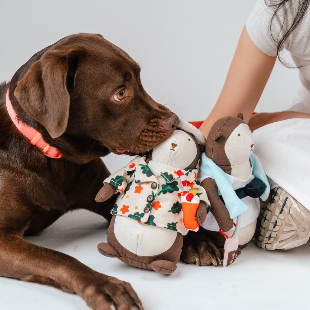 Bishan the Otter Squeaker Toy | Singapore Sling